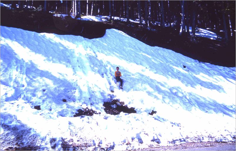 Vacation-1983 Oregon Uncle Jay-122